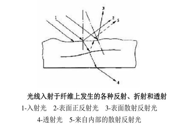 光線入射于纖維上發(fā)生的各種反射、折射和透射